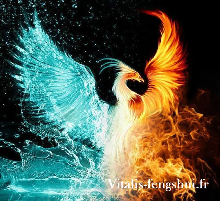 Un phénix mi-eau mi-feu prend son envol